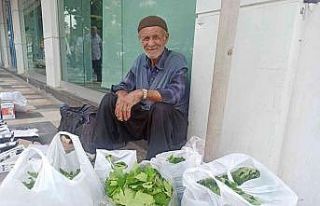 Asma yaprağı geçim kaynağı oldu