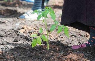 Ata tohumları atalarımızın ellerinden toprakla...