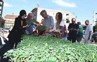 Ata tohumları, toprakla buluşuyor