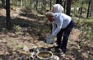 Atatürk Ormanına hayvanlar için yem bırakıldı