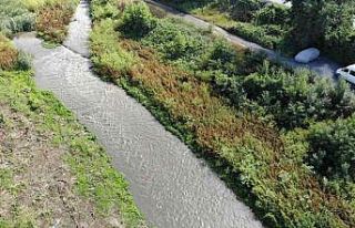 Atıksu Arıtma Tesisinin sularının arıtılmadan...
