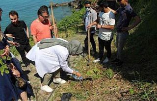 Avrasya Üniversitesi’nde yerleşkesinde fidan dikimi
