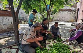 Aydın’da ilek mesaisi başladı