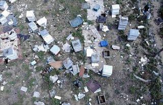 Ayılar aç kalınca kent merkezine indi