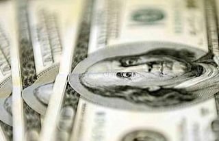Aylık en yüksek reel getiri dolarda oldu