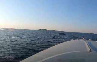 Ayvalık’ta 53 göçmen kurtarıldı