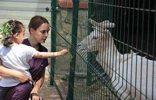 Babasının yanına bile gelmeyince, gerçek ortaya...