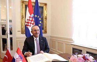Bakan Çavuşoğlu, Hırvatistan Başbakanı Plenkovic...