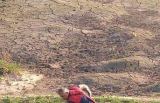 Balçığa saplanan ineği itfaiye ekipleri kurtardı