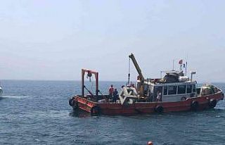 Balık popülasyonunun gelişimi için yapay resifler...