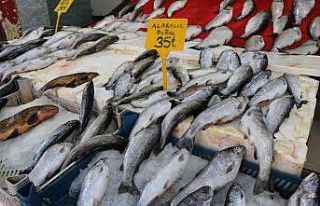 Balıkçılar yeni sezonu iple çekiyor