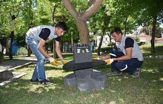 Balıkesir’in her yerinde ’Pati’ler var
