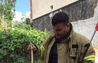 Bandırma’ da cadde üzerinde gezen yılan itfaiye...