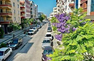 Başkan Atabay; "Didim her geçen gün güzelleşiyor"