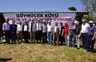 Başkan Bakkalcıoğlu, Birlik ve Beraberlik Şenliği...