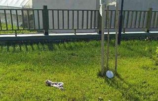 Başkan Eryılmaz: "Park ve mesire alanlarını...