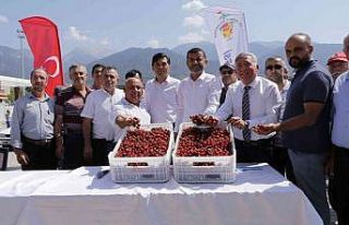 Başkan Kepenek’in açıklamaları Honazlı kirazcıları...