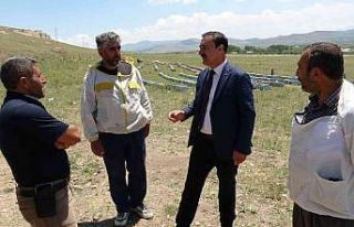 Başkan Süer: “Van’ın gerçek balı ilaçtır”