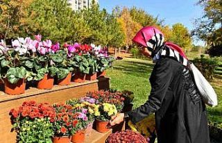 Başkentte “Çiçeğim Takası” uygulaması başlıyor