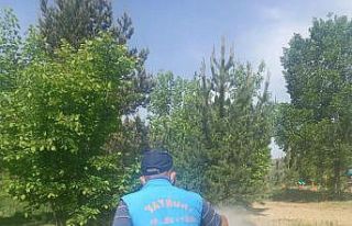 Bayburt Belediyesi ilaçlama mesaisine devam ediyor