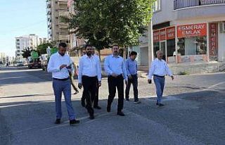 Baydilli saha çalışmalarını sürdürüyor