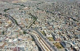 Beyazgül şehrin yarasına merhem oluyor