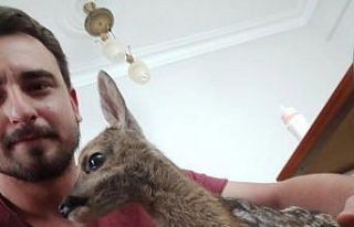 Biberonla besleyip, yetkililere teslim etti