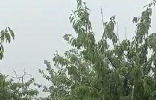 Bilecik’te ceviz büyüklüğünde dolu yağdı