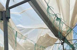 Bilecik’te seraları hortum vurdu