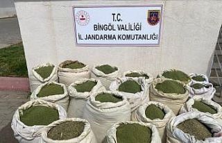 Bingöl’de 407 kilo esrar ele geçirildi