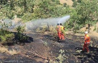Bingöl’de orman yangını büyümeden söndürüldü
