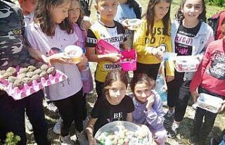 Binlerce tohum topu toprakla buluştu