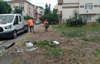 Bir günde tonlarca atık toplandı