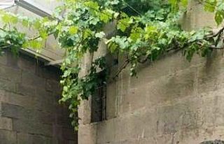 Birlik Vakfı’ndan sütlaç ikramı