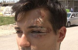 Bisikletiyle üniversiteye giden öğrenci sokak köpeklerinin...