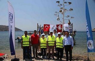 Bodrum’da Dünya Çevre Günü etkinlikleri sürüyor