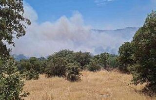 Bodrum’da makilik yangını