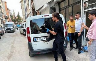 Boş dükkâna bağlanan köpek hayvan severlerin...