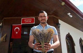 Bu kafeye stresli gelen rahatlayıp çıkıyor