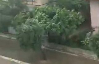 Buldan sokakları göle döndü