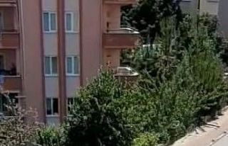Bursa’da bir otomobil seyir halindeyken alev topuna...