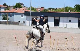 Büyükşehir’in ev sahipliğinde uluslararası...