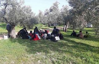 Çanakkale’de, jandarma ekipleri son 2 ayda bin...