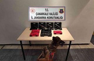 Çanakkale’de silah kaçakçılığı operasyonu