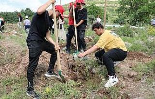 Çevre Günü’nde Ali Dağı’nda özel program