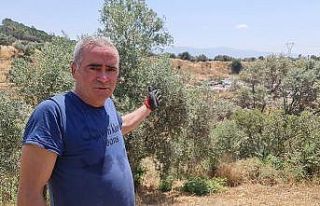 Çevre konusunda örnek olması gereken Sultanhisar...