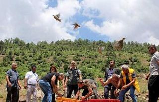 Çiftçilerin korkulu rüyasıydı, biyolojik mücadele...