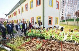 Çocuklar, atalık tohumdan elde edilen fideleri toprakla...