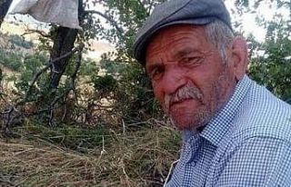 Çorum’da keneden 1 kişi daha öldü