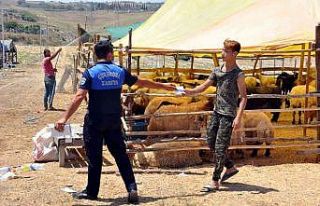 Çukurova’da kurban satış ve kesim yerleri belirlendi